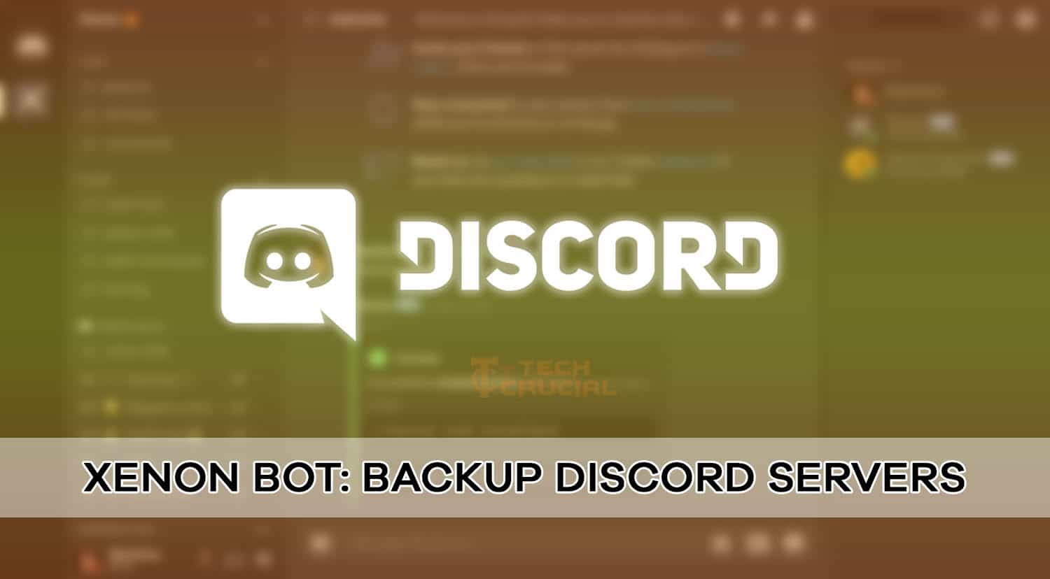Discord Bots That Can Give Roles Statroles Statbot Knowledge Base